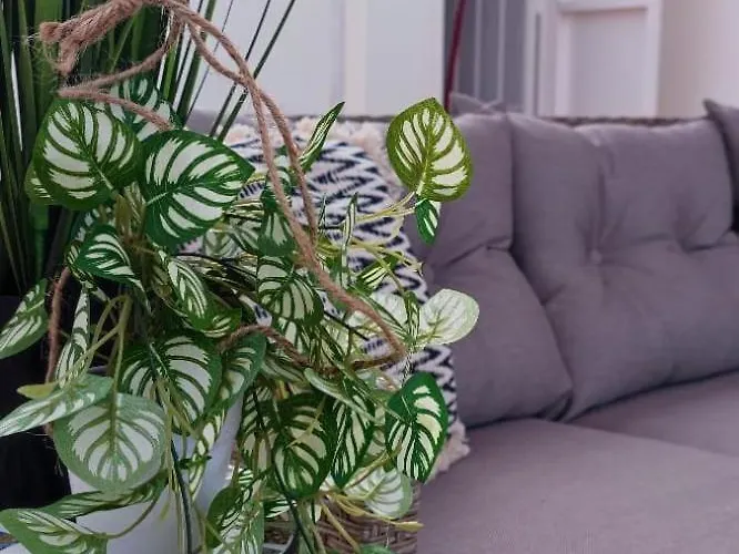 Lejlighed Casa De Alba Cabo Cervera La Mata