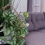 Apartament Casa De Alba Cabo Cervera La Mata