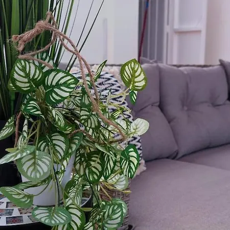 شقة Casa De Alba Cabo Cervera La Mata